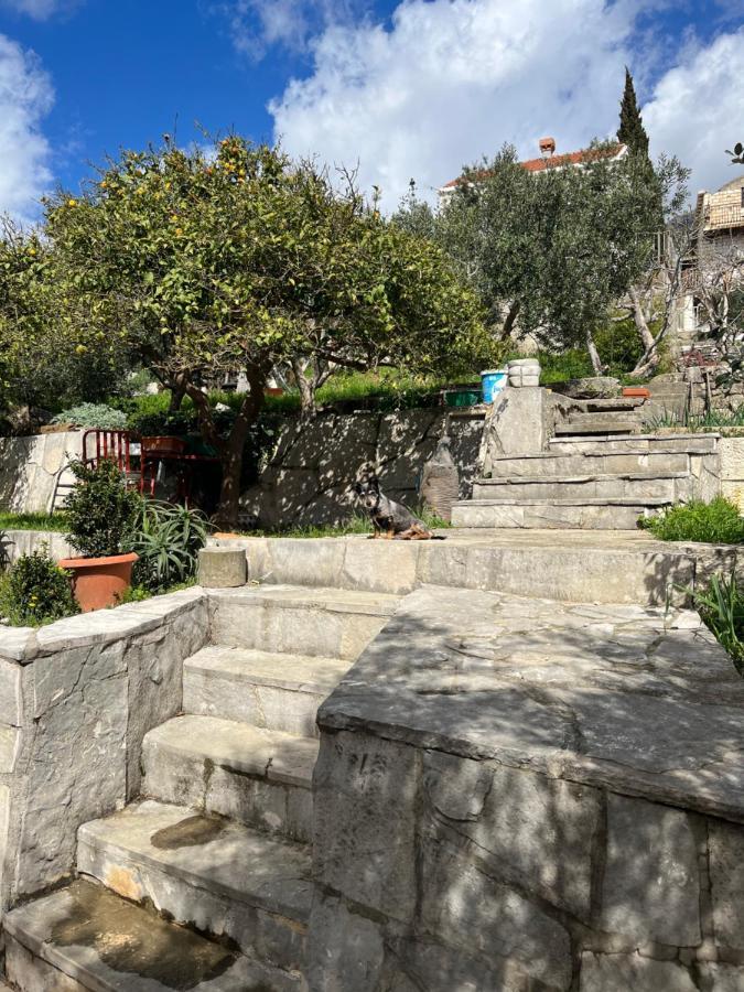 Apartments Cvjetkovic Млини Экстерьер фото